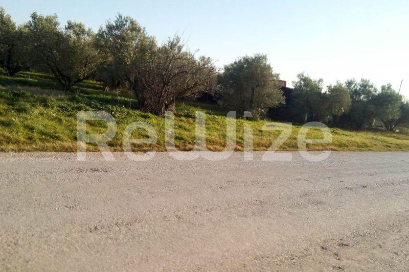 Photo 6,Εξωτερική,ΠΏΛΗΣΗ,Γη,Αγροτεμάχιο,5000τ.μ,€150,000,Παραλία Διονυσίου