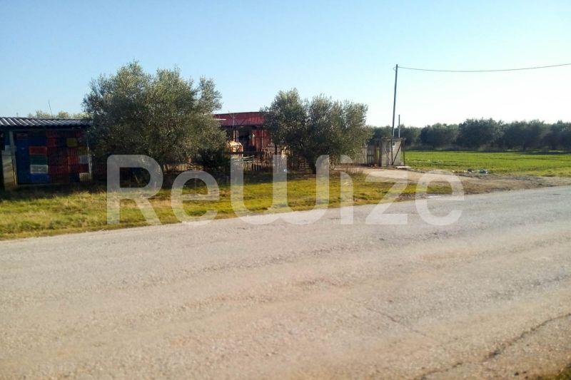 Photo 4,Εξωτερική,ΠΏΛΗΣΗ,Γη,Αγροτεμάχιο,5000τ.μ,€150,000,Παραλία Διονυσίου