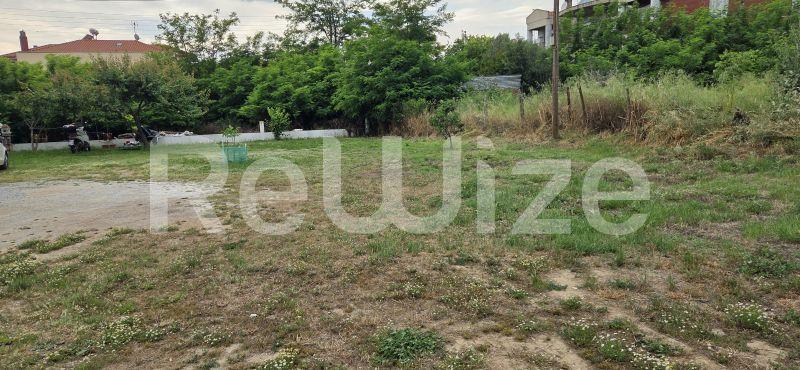 Photo 4,Εξωτερική,ΠΏΛΗΣΗ,Γη,Οικόπεδο,225τ.μ,€45,000,Βασιλικά