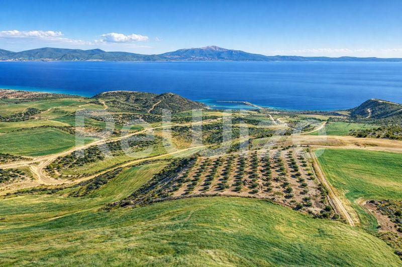 Photo 4,Τοπίο,ΠΏΛΗΣΗ,Γη,Αγροτεμάχιο,11388τ.μ,€200,000,Ιερισσός