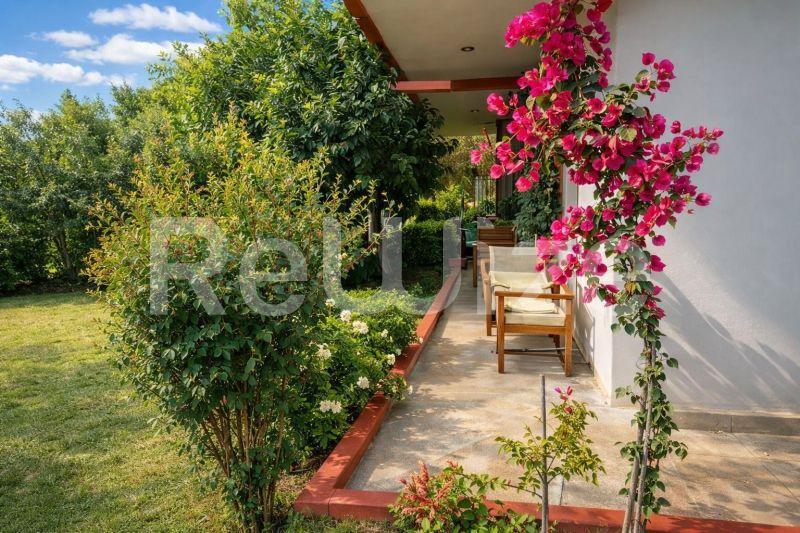 Photo 26,Garden,SALE,Residency,Detached house,315sqm,€480,000,Stratoni
