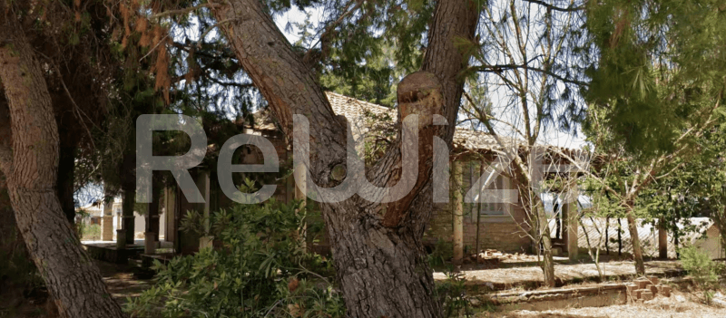 Photo 6,Κήπος,ΕΝΟΙΚΊΑΣΗ,Κατοικία,Μονοκατοικία,205τ.μ,€149,000,Ζάκυνθος