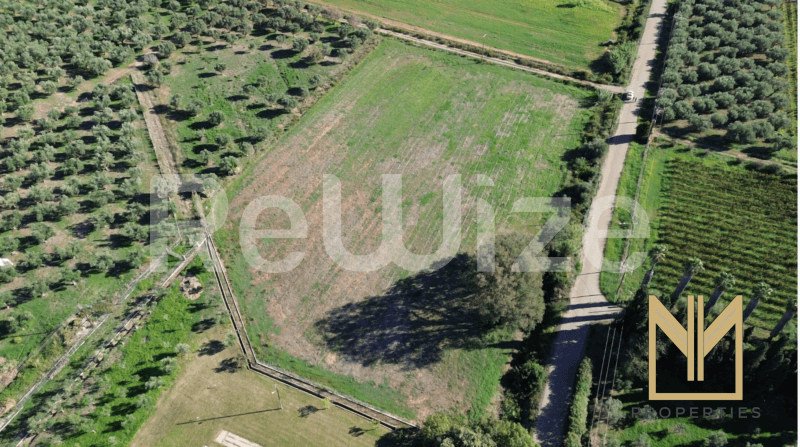 Photo 3,Εξωτερική,ΠΏΛΗΣΗ,Γη,Οικόπεδο,9769τ.μ,€150,100,Πύργος