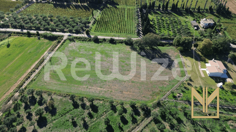 Photo 6,Εξωτερική,ΠΏΛΗΣΗ,Γη,Οικόπεδο,9769τ.μ,€150,100,Πύργος