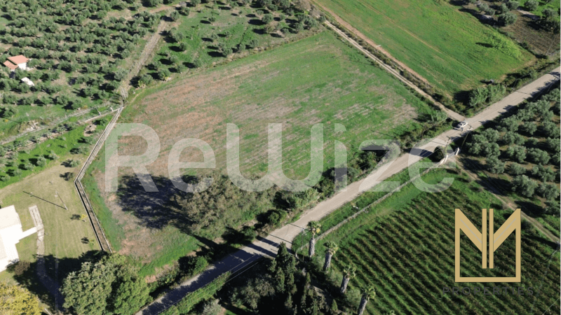 Photo 2,Εξωτερική,ΠΏΛΗΣΗ,Γη,Οικόπεδο,9769τ.μ,€150,100,Πύργος
