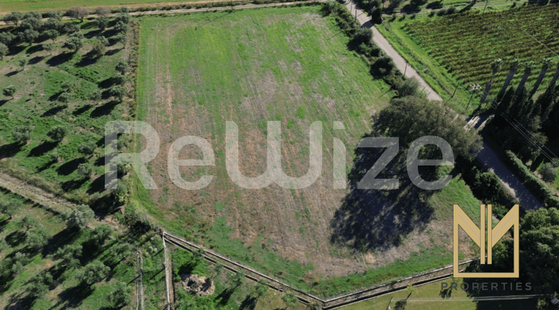 Photo 4,Εξωτερική,ΠΏΛΗΣΗ,Γη,Οικόπεδο,9769τ.μ,€150,100,Πύργος