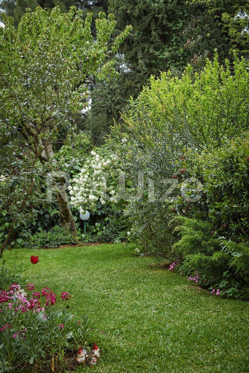Photo 6,Κήπος,ΠΏΛΗΣΗ,Κατοικία,Μονοκατοικία,400τ.μ,€695,000,Πανόραμα