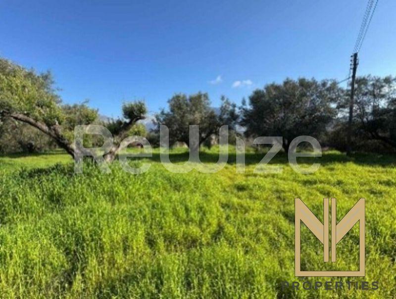 Field 5825 m² in Xiromero, photo 10