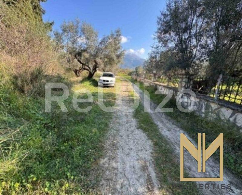 Field 5825 m² in Xiromero, photo 15