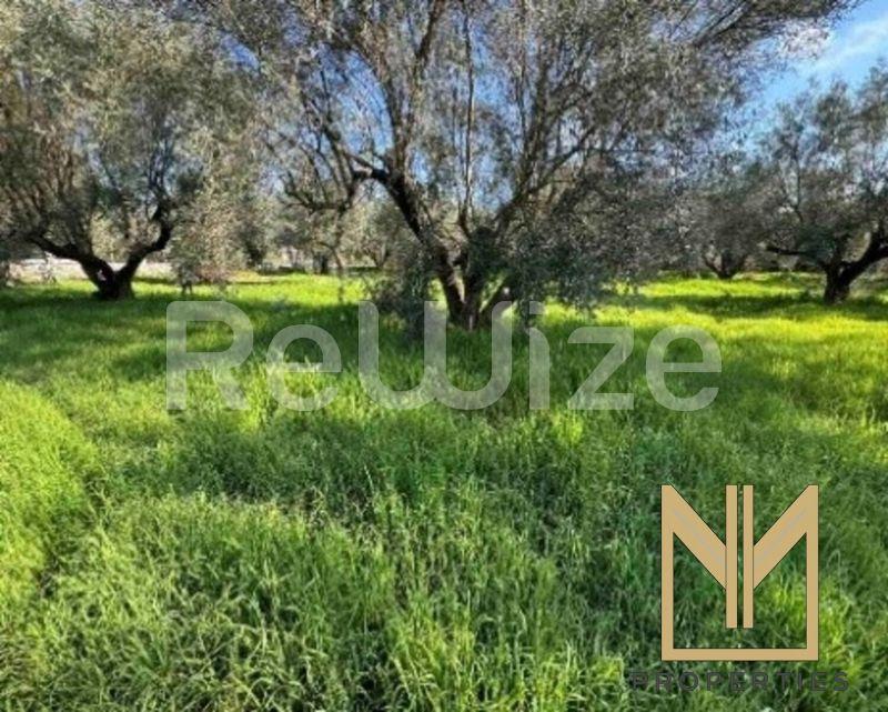 Field 5825 m² in Xiromero, photo 13