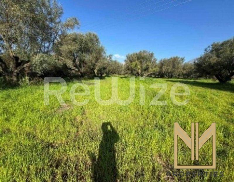 Field 5825 m² in Xiromero, photo 12