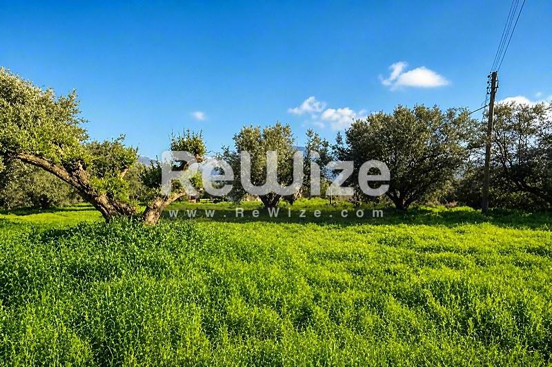 Field 5825 m² in Xiromero, photo 3