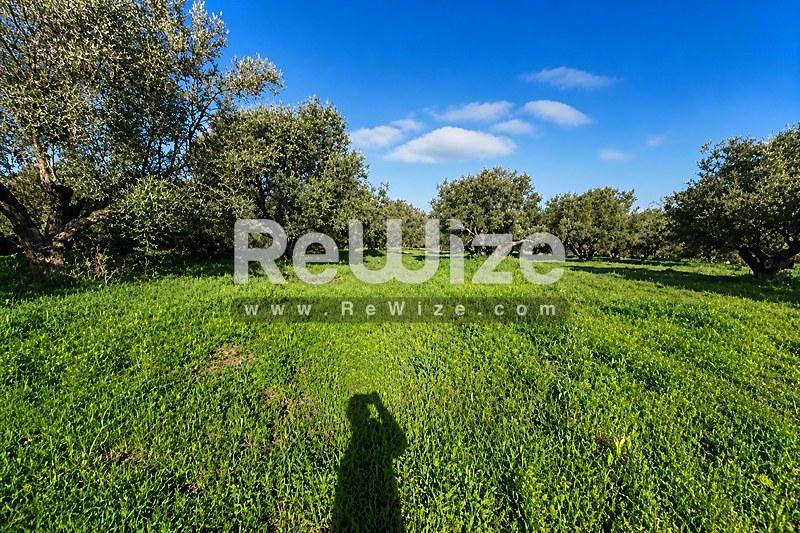 Field 5825 m² in Xiromero, photo 2