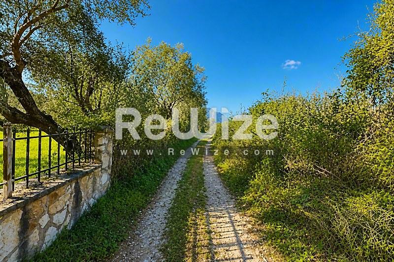 Field 5825 m² in Xiromero, photo 6