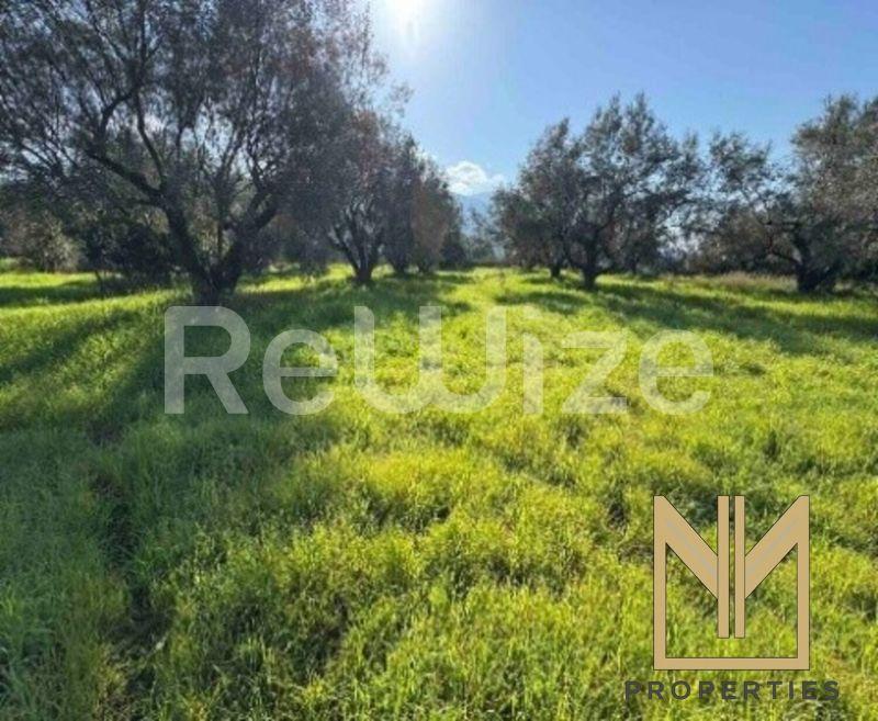 Field 5825 m² in Xiromero, photo 9