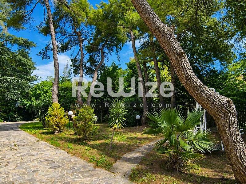 Πράσινος μεσογειακός κήπος της βίλας rw-7551 στη Χαλκιδική με ώριμα δέντρα και τροπικά φυτά.