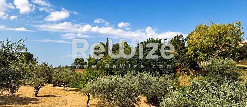 ΠΏΛΗΣΗ,Γη,Αγροτεμάχιο,1300τ.μ,€5,500,Τρίπολη #7709 - 6