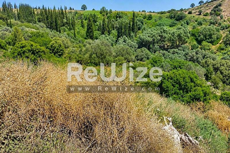 Οικόπεδο στη Χαλκιδική με μεσογειακή βλάστηση και φυσικό δασικό περιβάλλον.