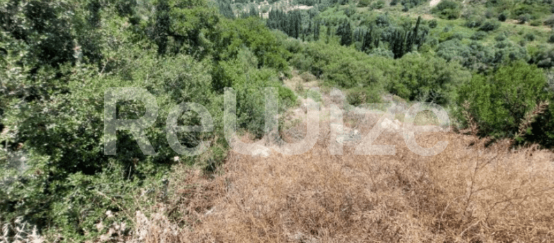 Photo 3,Εξωτερική,ΕΝΟΙΚΊΑΣΗ,Γη,Αγροτεμάχιο,6678τ.μ,€3,000,Ληξούρι