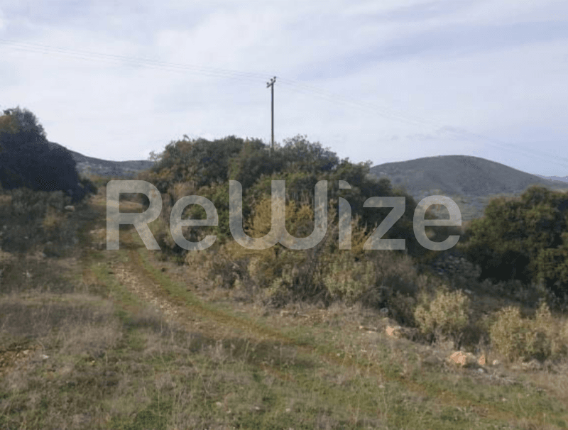 Photo 3,Εξωτερική,ΕΝΟΙΚΊΑΣΗ,Γη,Οικόπεδο,12052τ.μ,€16,640,Βόρεια Κυνουρία