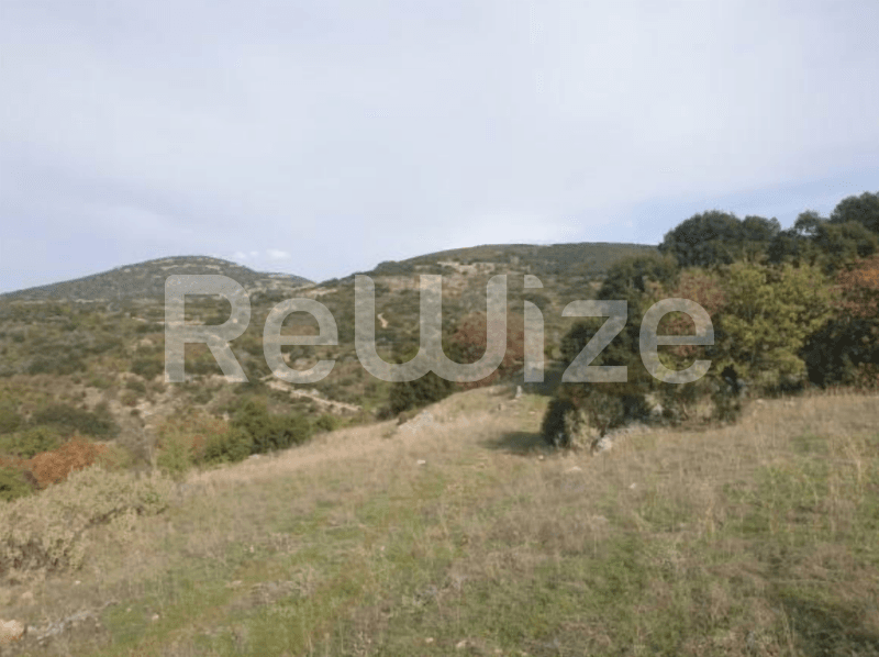 Photo 4,Εξωτερική,ΕΝΟΙΚΊΑΣΗ,Γη,Οικόπεδο,12052τ.μ,€16,640,Βόρεια Κυνουρία