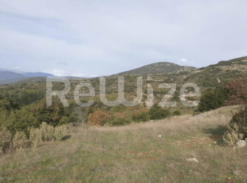 Photo 2,Εξωτερική,ΕΝΟΙΚΊΑΣΗ,Γη,Οικόπεδο,12052τ.μ,€16,640,Βόρεια Κυνουρία