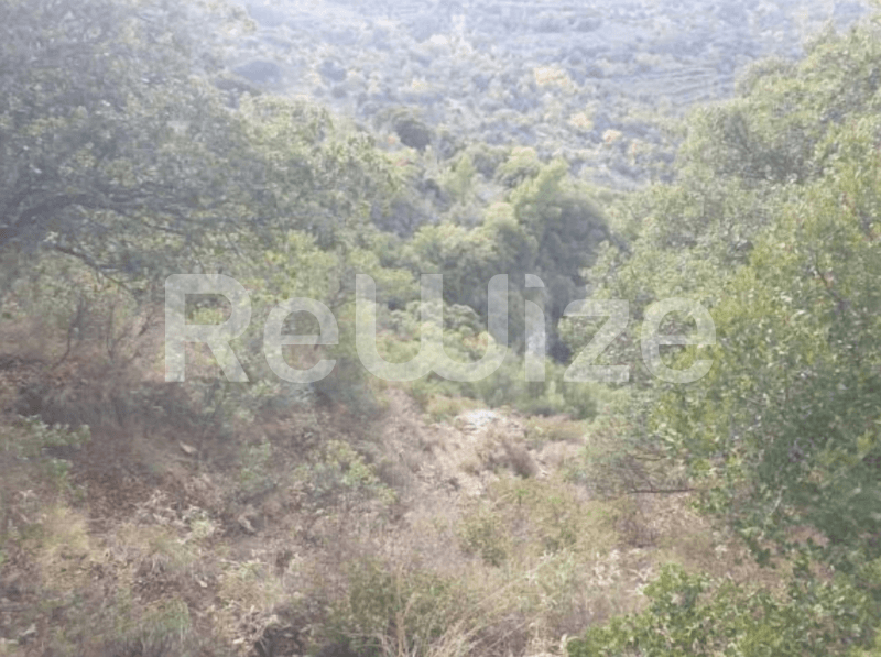 Photo 4,Εξωτερική,ΕΝΟΙΚΊΑΣΗ,Γη,Οικόπεδο,15979τ.μ,€41,600,Βόρεια Κυνουρία