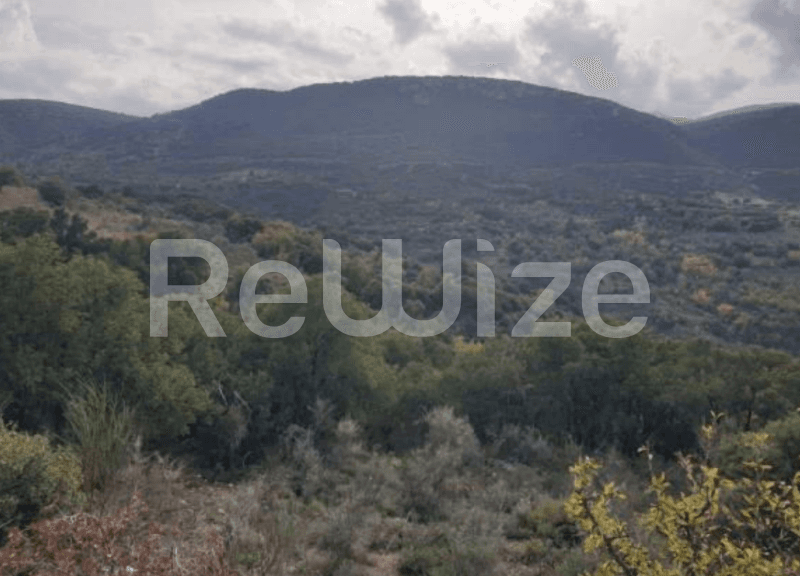 Photo 1,Εξωτερική,ΕΝΟΙΚΊΑΣΗ,Γη,Οικόπεδο,15979τ.μ,€41,600,Βόρεια Κυνουρία