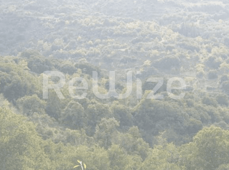 Photo 3,Παραλία,ΕΝΟΙΚΊΑΣΗ,Γη,Οικόπεδο,15979τ.μ,€41,600,Βόρεια Κυνουρία
