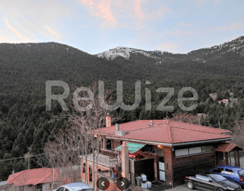 Photo 1,Εξωτερική,ΕΝΟΙΚΊΑΣΗ,Επαγγελματικό,Κτήριο,505τ.μ,€189,000,Λεβίδι