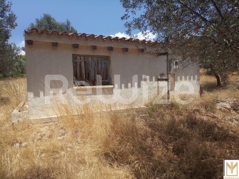 Αγροτεμάχιο 5794 τ.μ. στην Ερμιονίδα, φωτογραφία 5