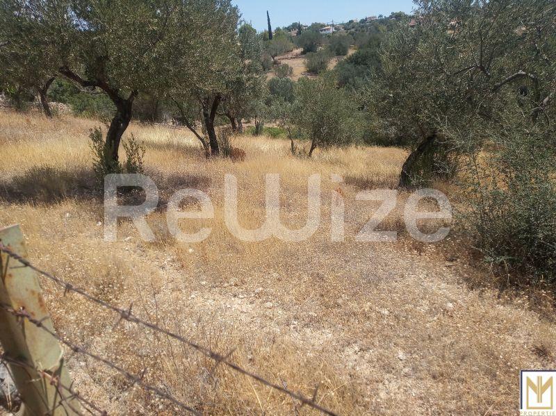 Αγροτεμάχιο 5794 τ.μ. στην Ερμιονίδα, φωτογραφία 1