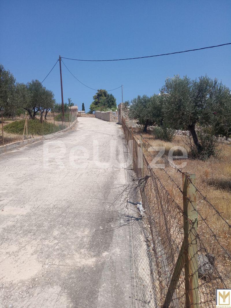 Αγροτεμάχιο 5794 τ.μ. στην Ερμιονίδα, φωτογραφία 2