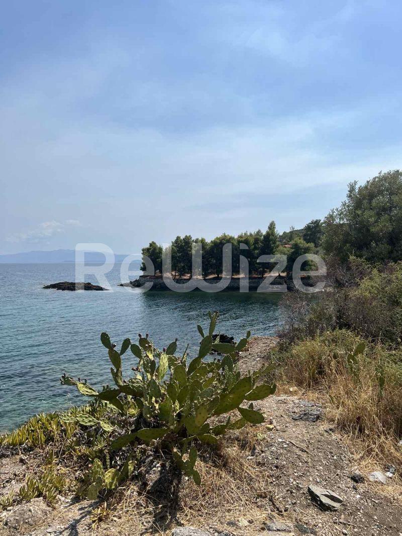 Photo 4,Θέα στη θάλασσα,ΠΏΛΗΣΗ,Γη,Αγροτεμάχιο,4300τ.μ,€650,000,Μεταγκίτσι