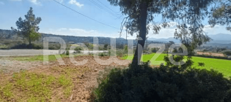 Photo 2,Garden,RENT,Land,Plot,2024sqm,€75,000,Kapandriti