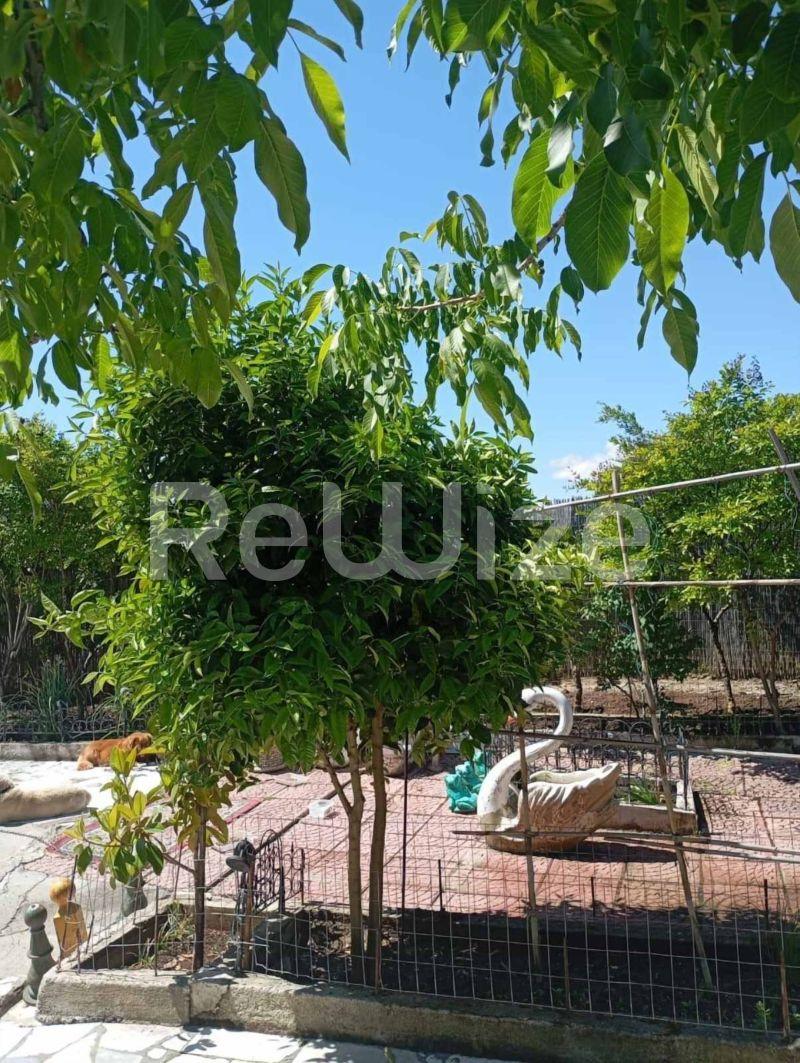 Photo 11,External View,SALE,Professional,Store,80sqm,€130,000,Veria