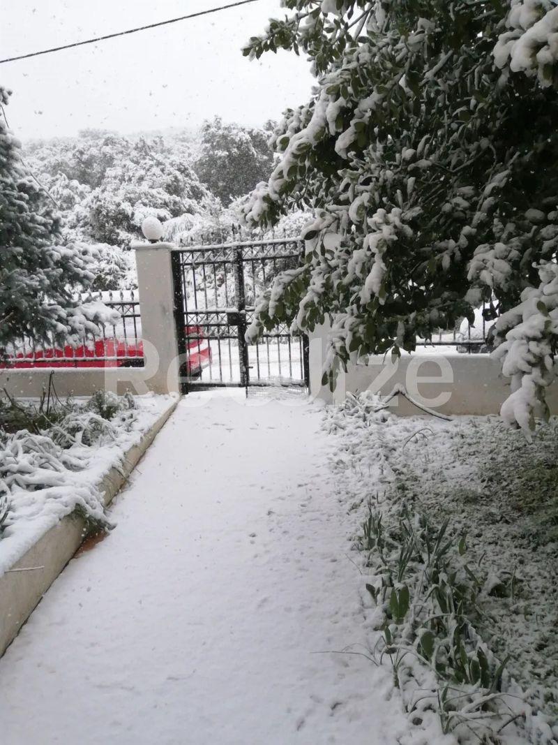Photo 5,Εξωτερική,ΠΏΛΗΣΗ,Κατοικία,Μεζονέτα,360τ.μ,€450,000,Πεύκα