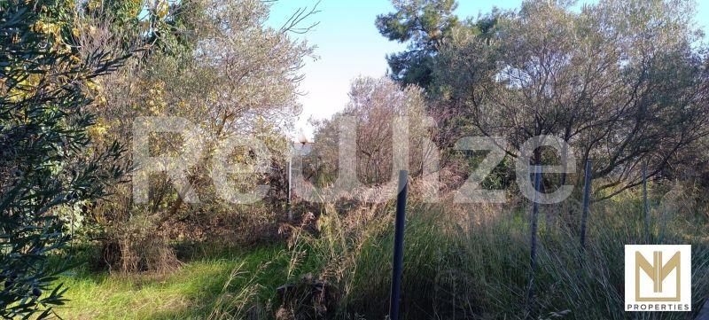 Μονοκατοικία 236 τ.μ. στην Πύδνα-Κολινδρό, φωτογραφία 3