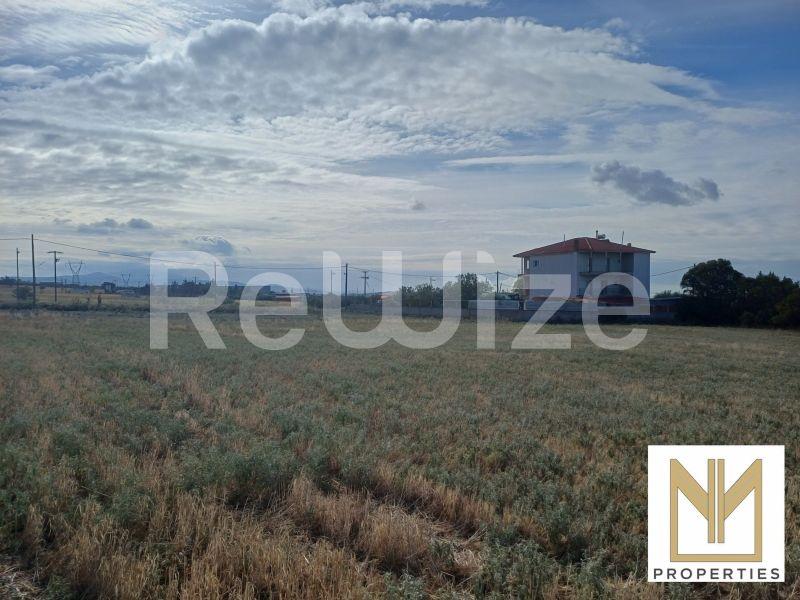 Photo 13,Εξωτερική,ΠΏΛΗΣΗ,Γη,Οικόπεδο,10188τ.μ,€80,000,Νεοχωρούδα