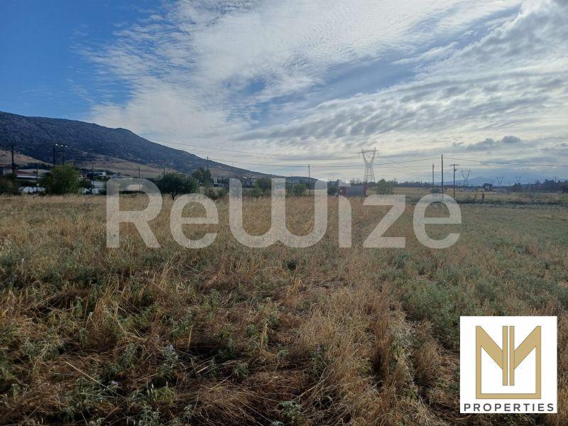 Photo 2,Εξωτερική,ΠΏΛΗΣΗ,Γη,Οικόπεδο,10188τ.μ,€80,000,Νεοχωρούδα