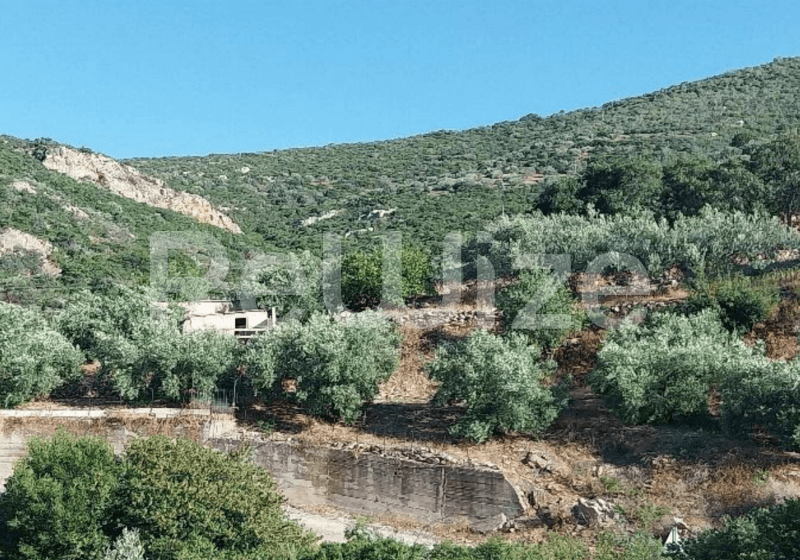 Photo 1,Εξωτερική,ΕΝΟΙΚΊΑΣΗ,Γη,Αγροτεμάχιο,1405τ.μ,€8,000,Βόρεια Κυνουρία