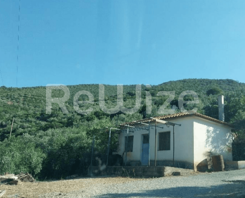 Photo 1,Open View,RENT,Land,Field,7419sqm,€23,000,Voreia Kynouria