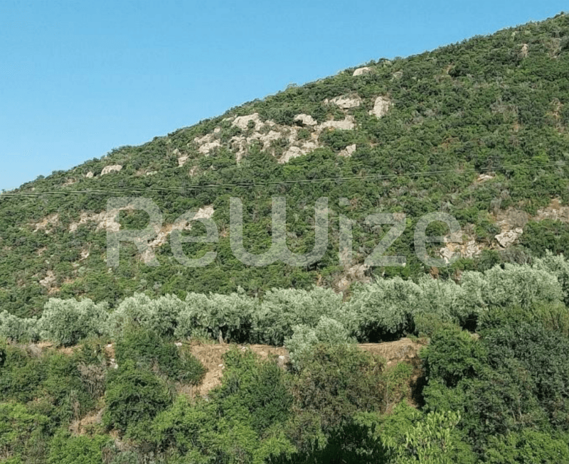 Photo 2,Mountain View,RENT,Land,Field,7419sqm,€23,000,Voreia Kynouria