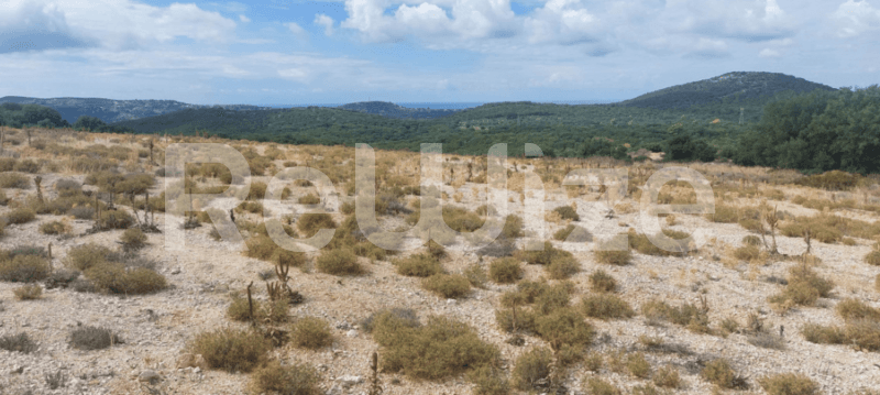 Photo 1,Outside,RENT,Land,Field,5261sqm,€11,000,Argostoli