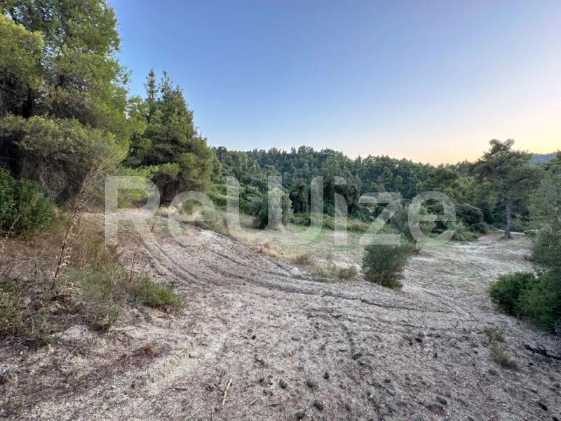 Photo 2,Εξωτερική,ΠΏΛΗΣΗ,Γη,Αγροτεμάχιο,5530τ.μ,€330,000,Κρυοπηγή