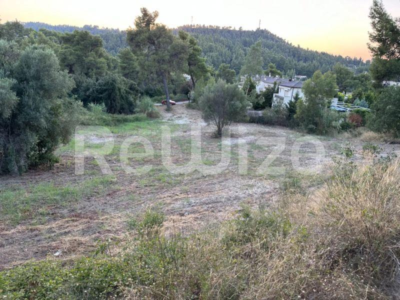 Photo 3,Εξωτερική,ΠΏΛΗΣΗ,Γη,Αγροτεμάχιο,5530τ.μ,€330,000,Κρυοπηγή