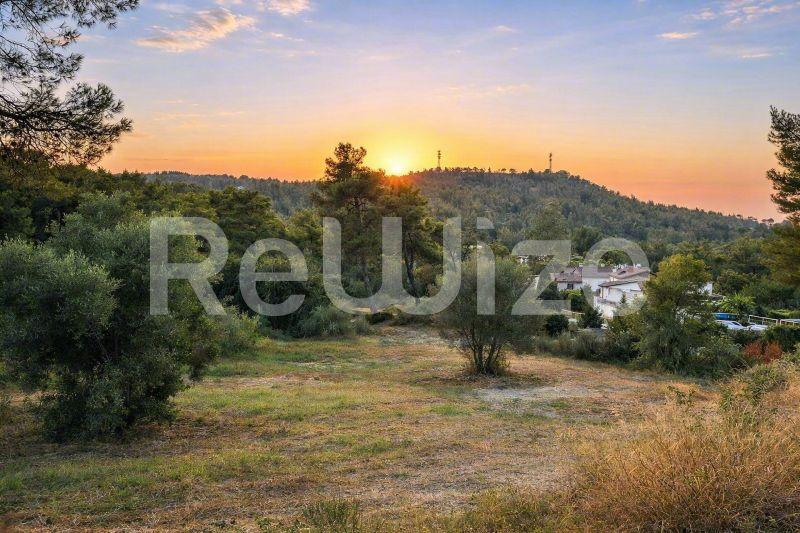 Εκπληκτική θέα ηλιοβασιλέματος σε οικόπεδο στη Χαλκιδική με ελιές και απόμακρα λόφια.