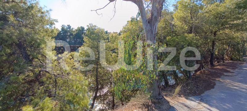 Photo 5,Εξωτερική,ΠΏΛΗΣΗ,Γη,Αγροτεμάχιο,1045τ.μ,€40,000,Νέα Ποτίδαια