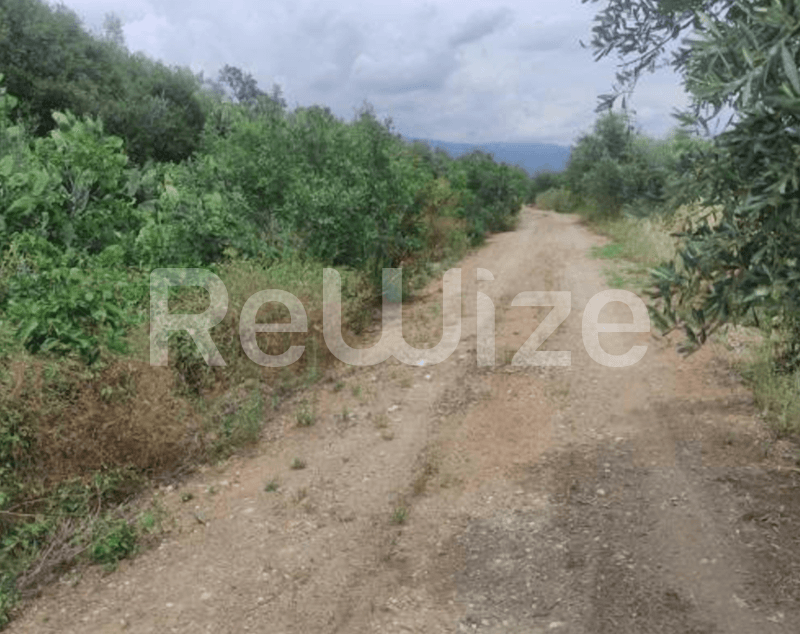 Photo 2,Εξωτερική,ΕΝΟΙΚΊΑΣΗ,Γη,Αγροτεμάχιο,3502τ.μ,€9,000,Παναιτώλιο