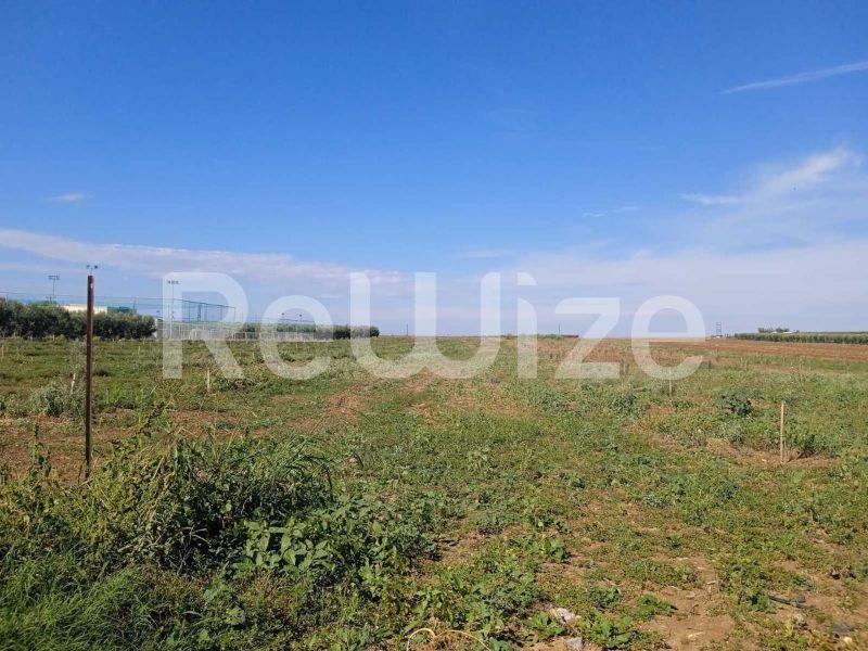 Photo 4,Τοπίο,ΠΏΛΗΣΗ,Γη,Αγροτεμάχιο,10000τ.μ,€210,000,Νέα Τρίγλια